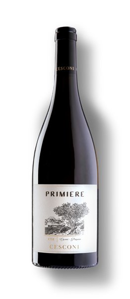 2019 Primiere Pinot Grigio Riserva - Trentino DOC 0,75 Ltr